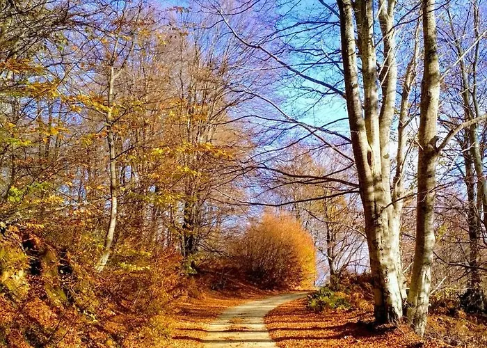 別荘 Evi ヴォロス