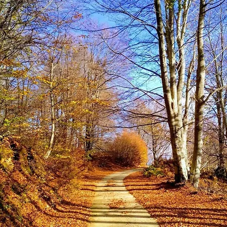 Case de vacanță Evi Volos