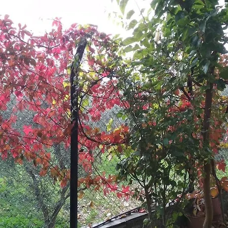 Evi Σπίτι διακοπών *