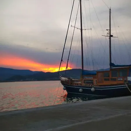 Evi * Βόλος